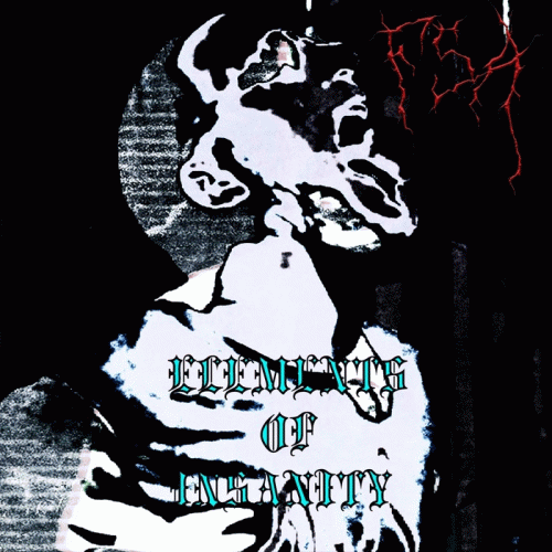 Fragmentary Solid Abyss : Elements of Insanity